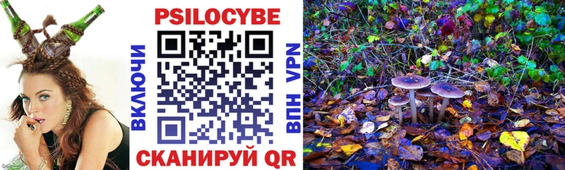 Купить  Адыгейск  Галлюциногенные грибы Cubensis